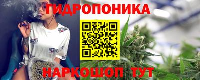 твердый Будённовск